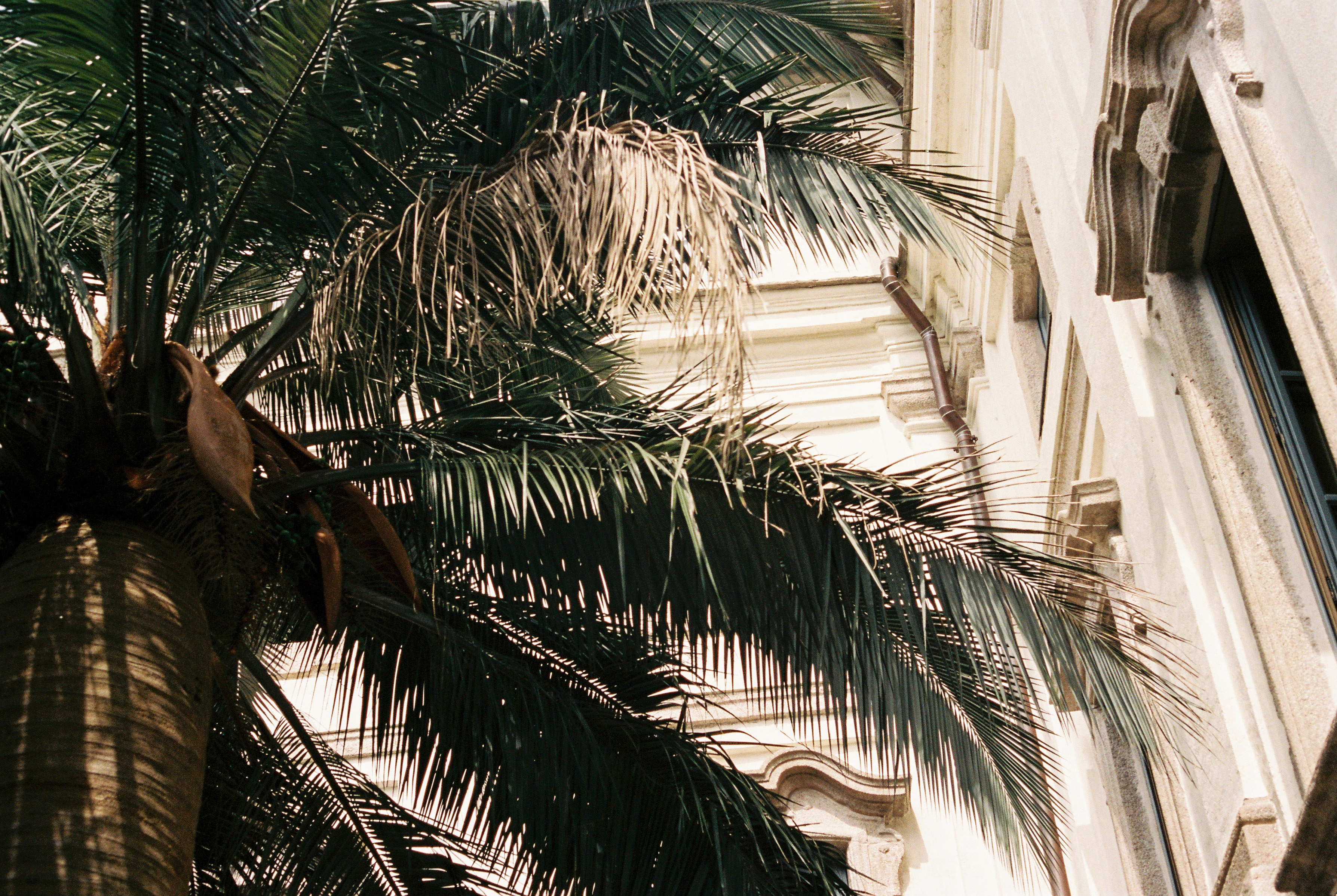 MiriamOrdelman_Summer2017-20