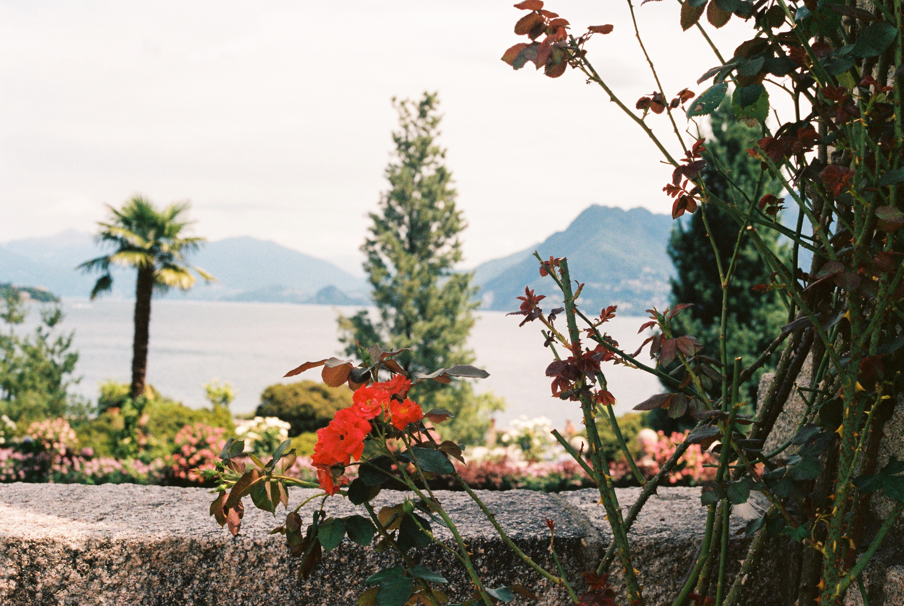 MiriamOrdelman_Summer2017-28