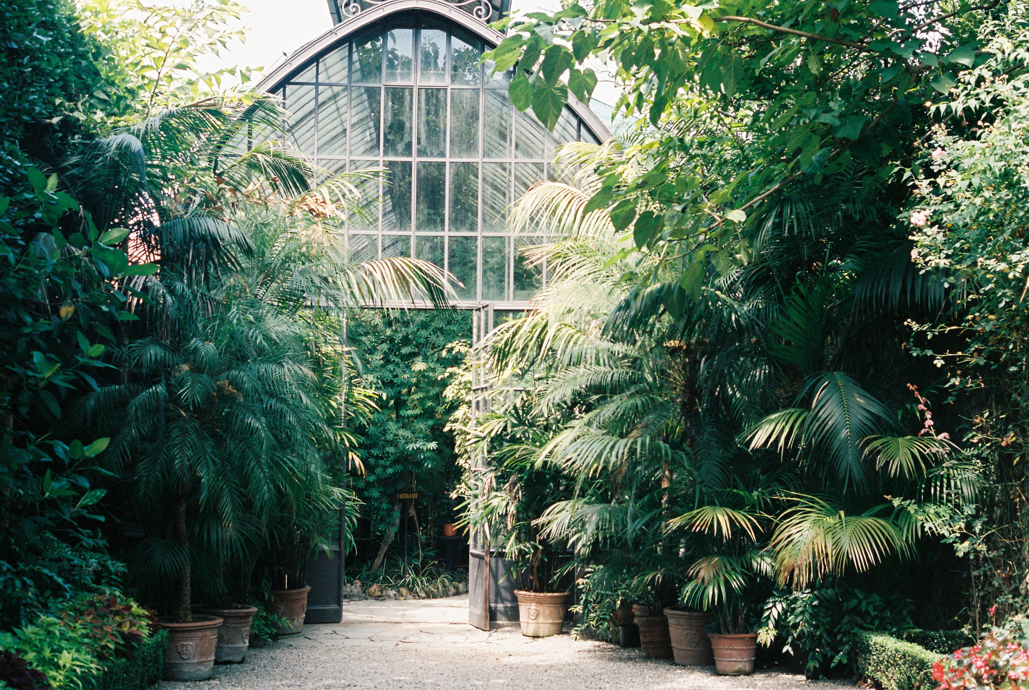 MiriamOrdelman_Summer2017-30