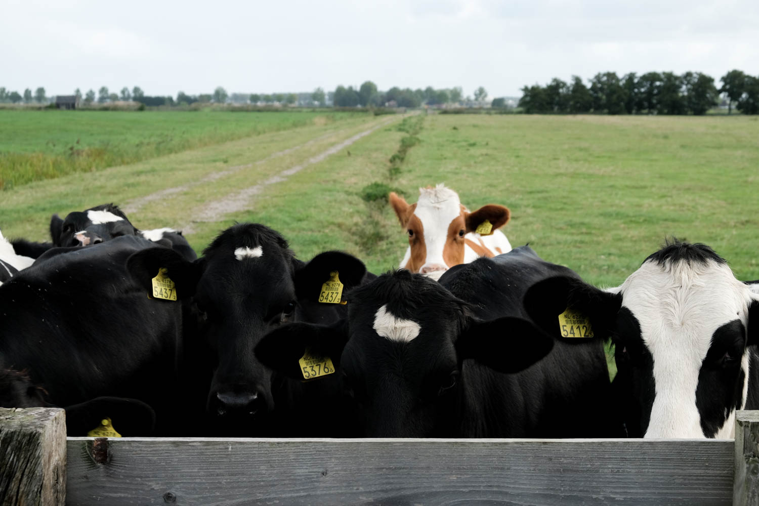 herman en marit deel 2-202